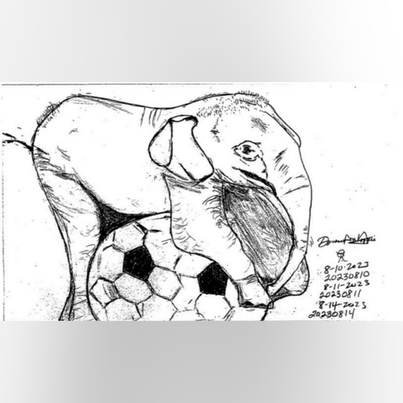 Meet your Posher, Denese - Picture 8 of 16